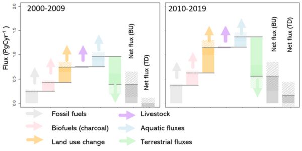 Africa is no longer the carbon sink of the world